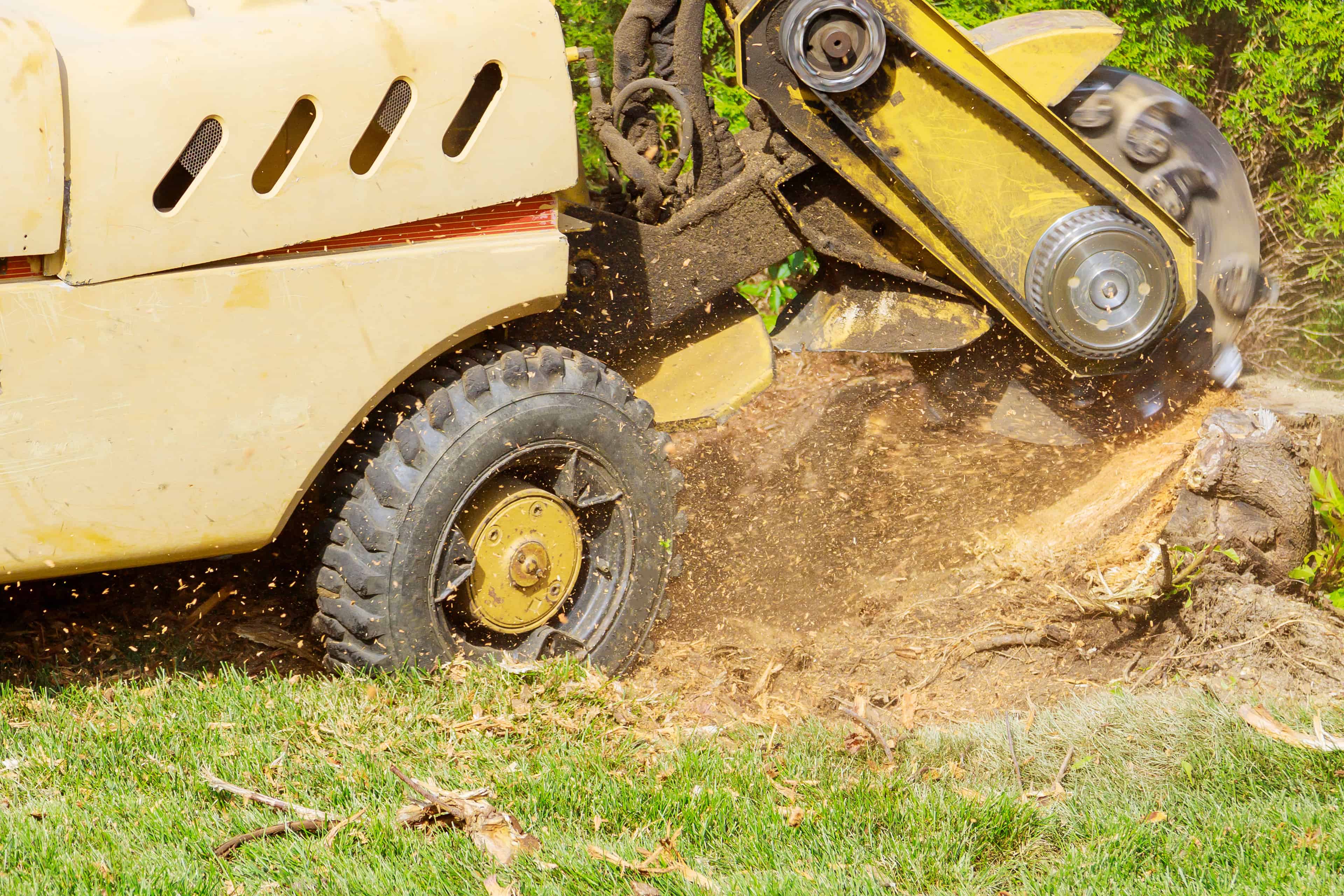Stump Grinding image