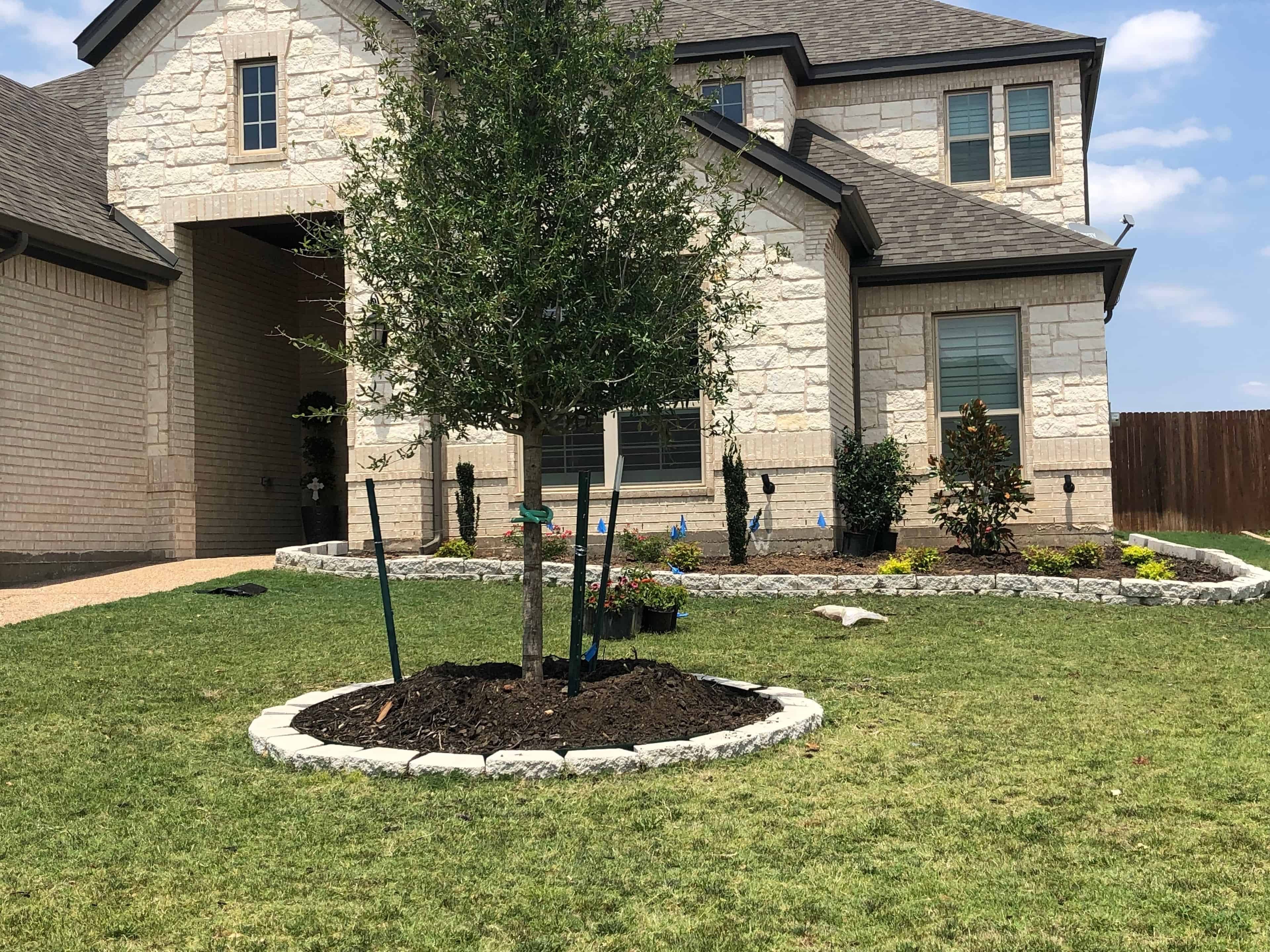 Tree Installation and Removal image