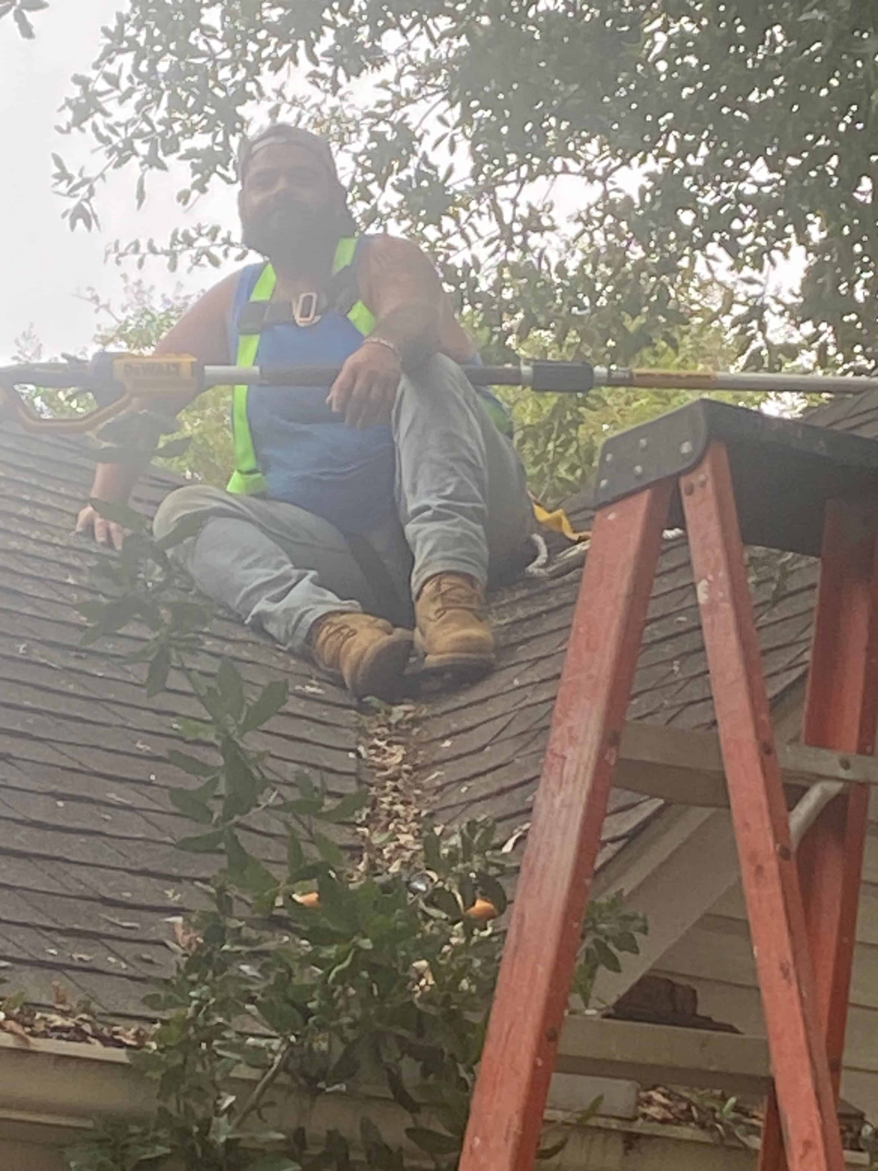 Pruning Services image