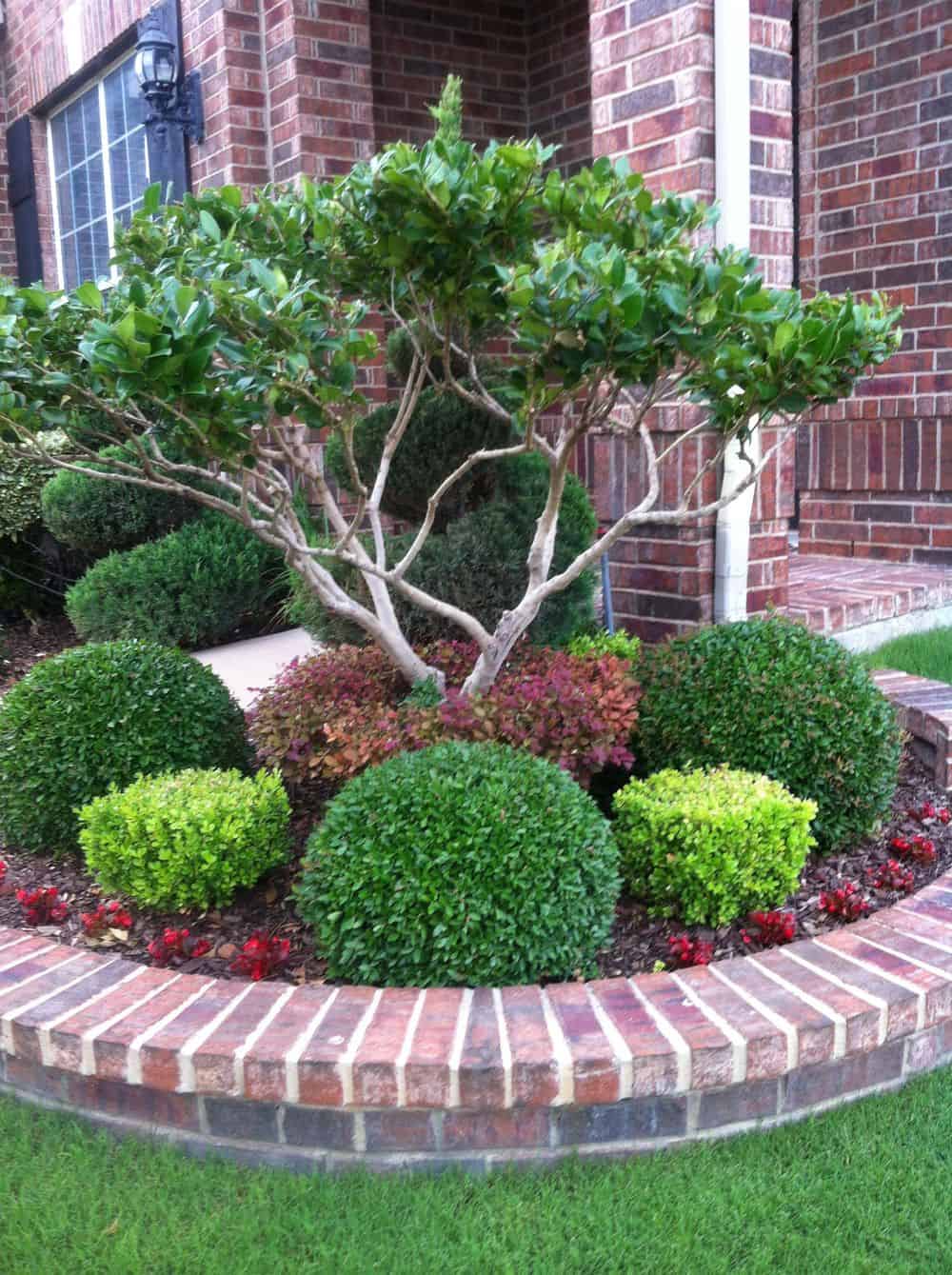Pruning Services image