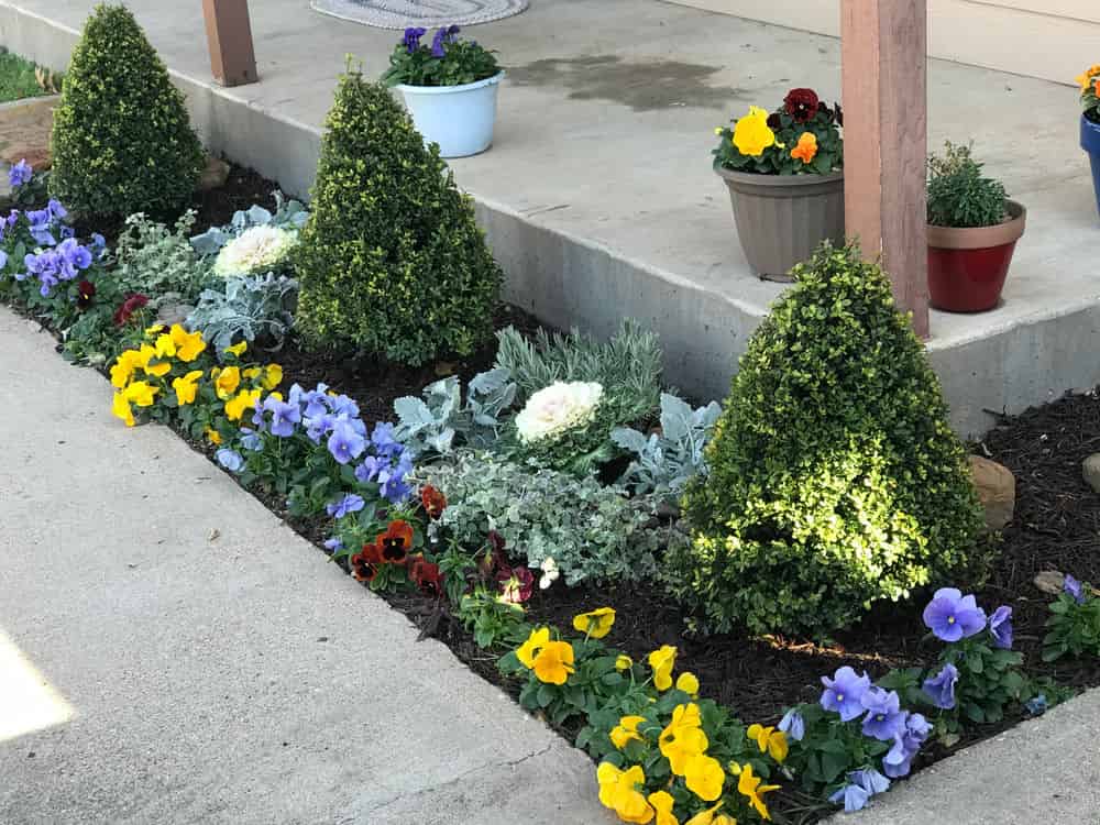 Flower Bed Design & Maintenance image