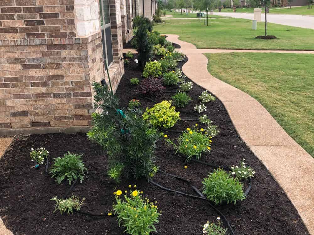 Planting Trees & Shrubs image