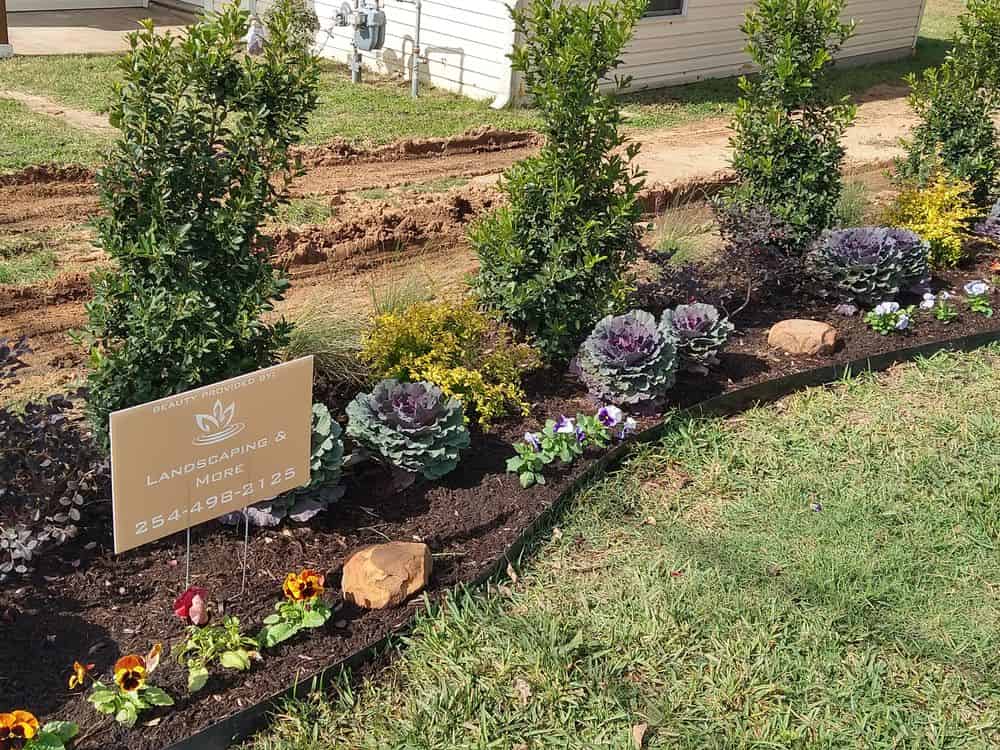 Landscape Design and Installation image