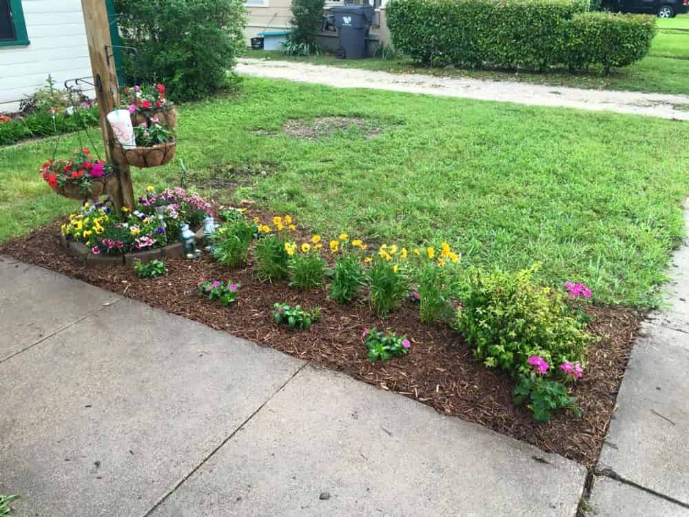 Sod Installation and Maintenance image