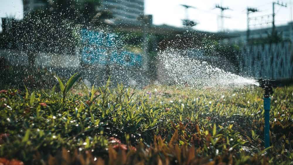 Irrigation System Installation and Maintenance image